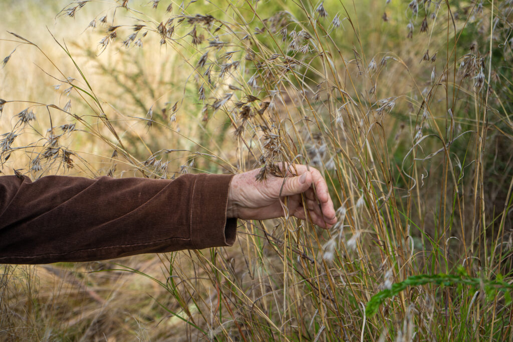Remaking the Land article in green magazine issue 86. Photos: Ellie Keft