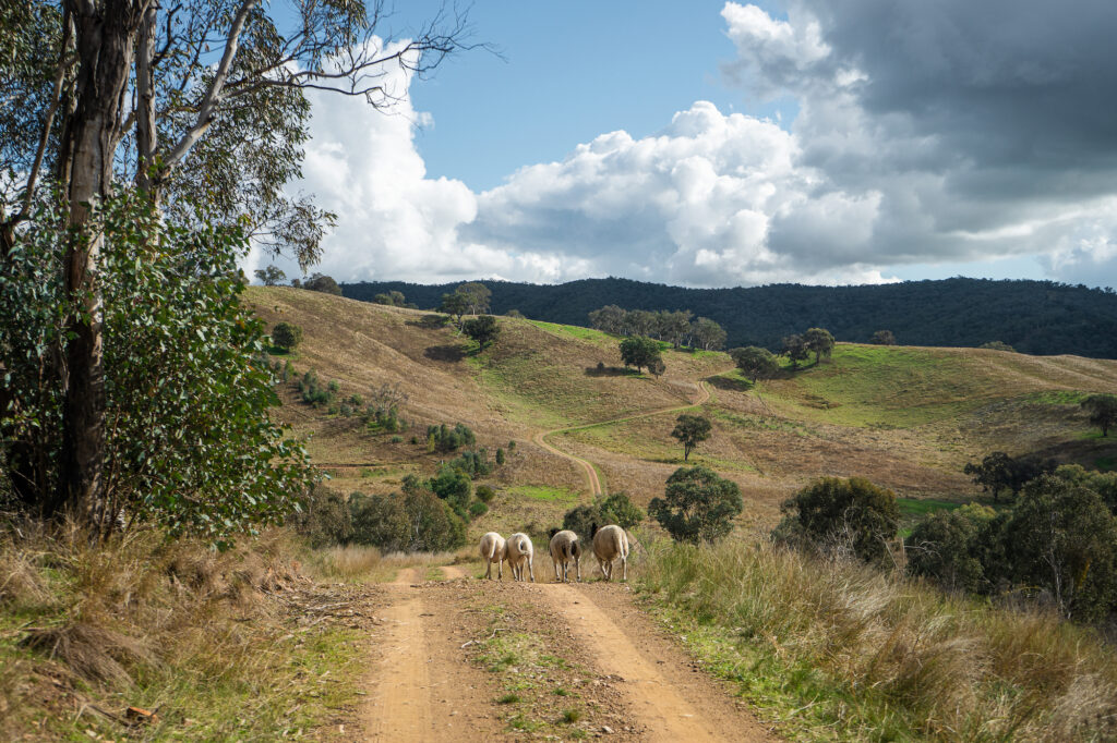 Remaking the Land article in green magazine issue 86. Photos: Ellie Keft