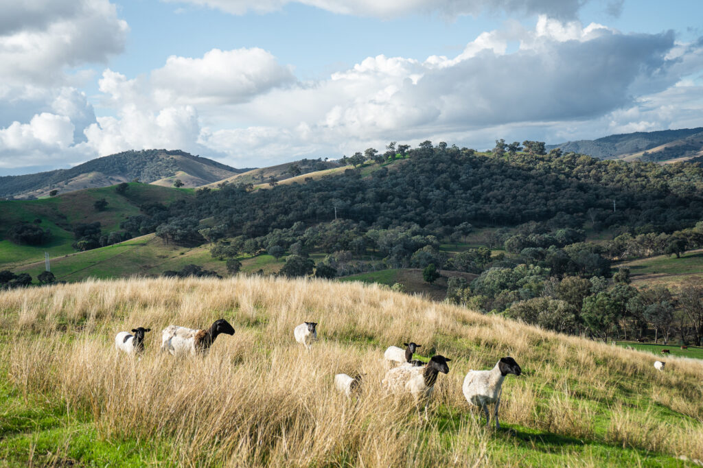 Remaking the Land article in green magazine issue 86. Photos: Ellie Keft