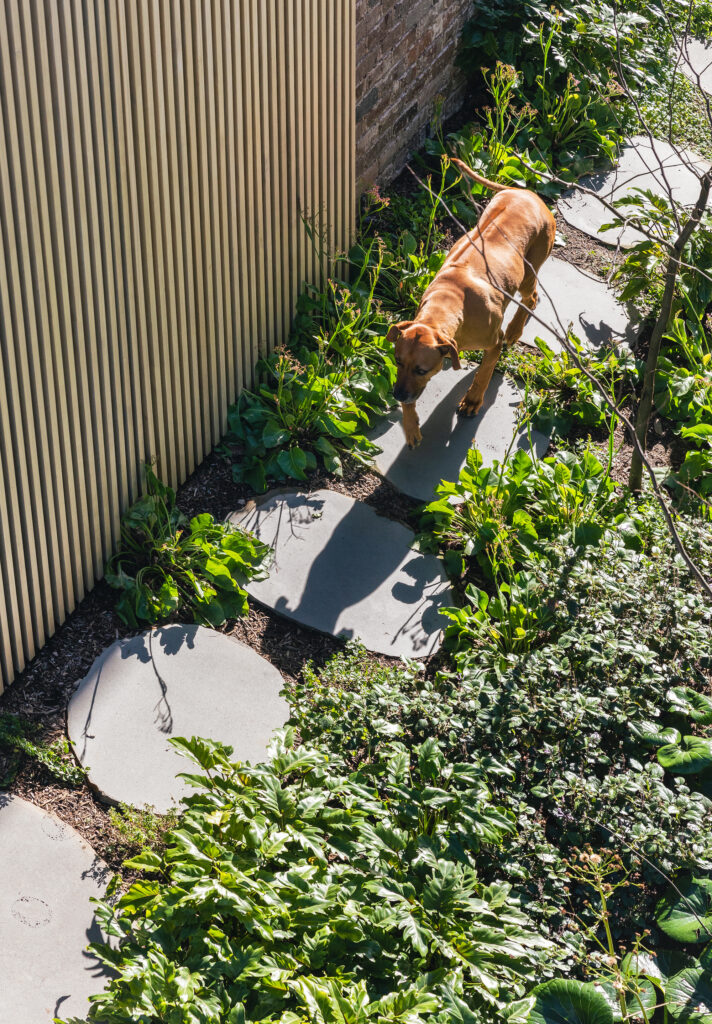 Green Between article in green magazine issue 87. Photos: Katherine Lu