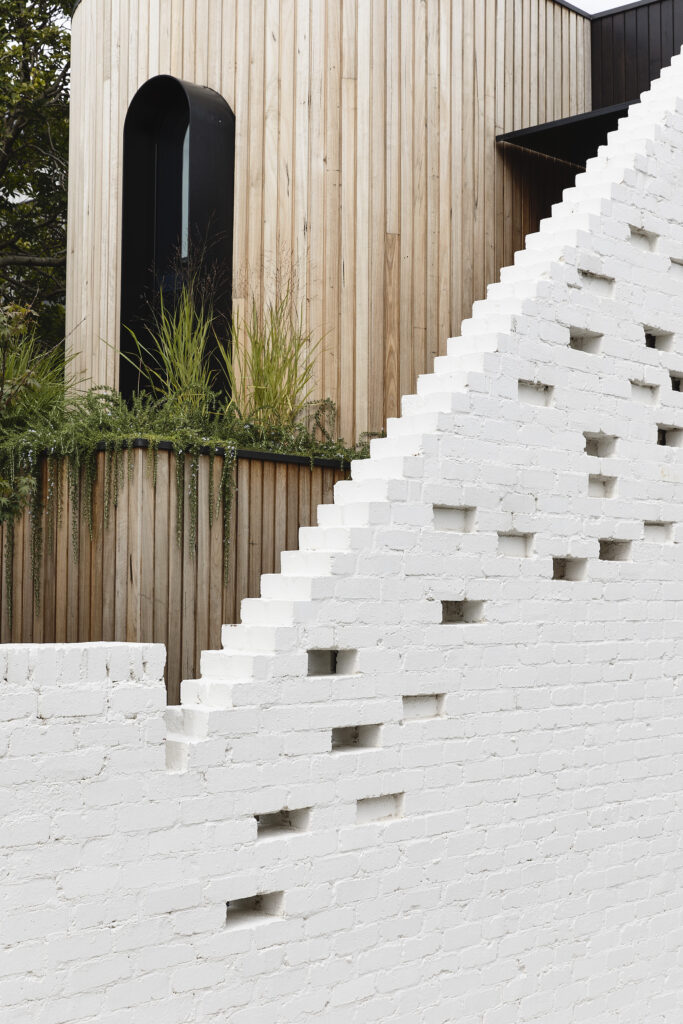 White brick wall in inner-city garden, photographed for green magazine issue 91: Lit Up by Derek Swalwell.