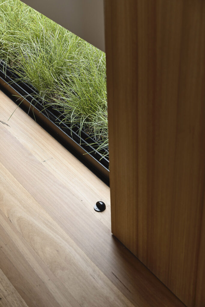 Softening of edges with plants at every opportunity, photographed for green magazine issue 91: Lit Up by Derek Swalwell.