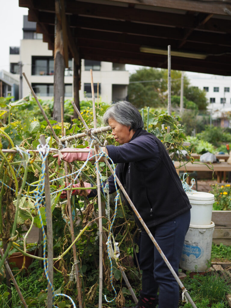 green magazine issue 80 - Happy Harvest - Photo: Tamsin O'Neill