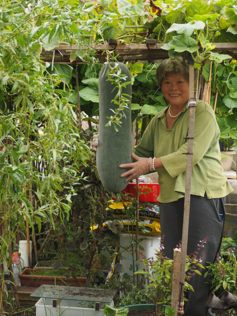 green magazine issue 80 - Happy Harvest - Photo: Tamsin O'Neill