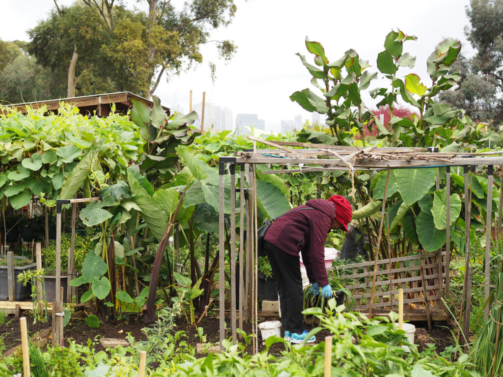 green magazine issue 80 - Happy Harvest - Photo: Tamsin O'Neill