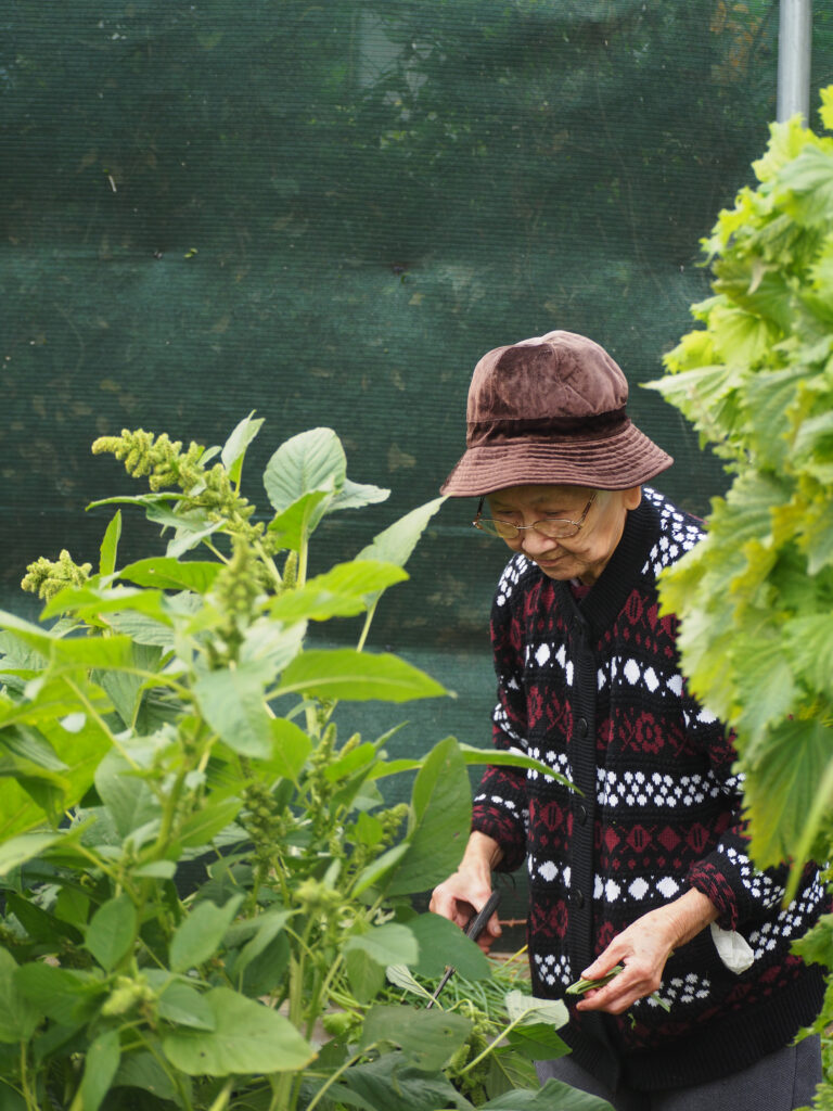 green magazine issue 80 - Happy Harvest - Photo: Tamsin O'Neill
