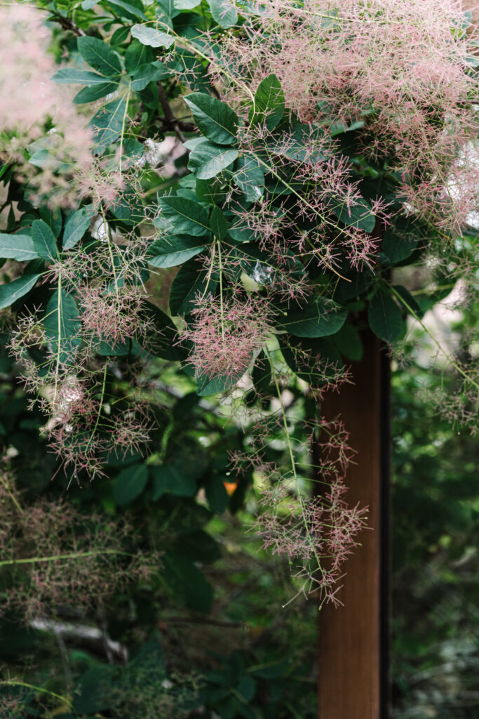 green magazine issue 80 - Embrace The Wild - Photo: Marnie Hawson