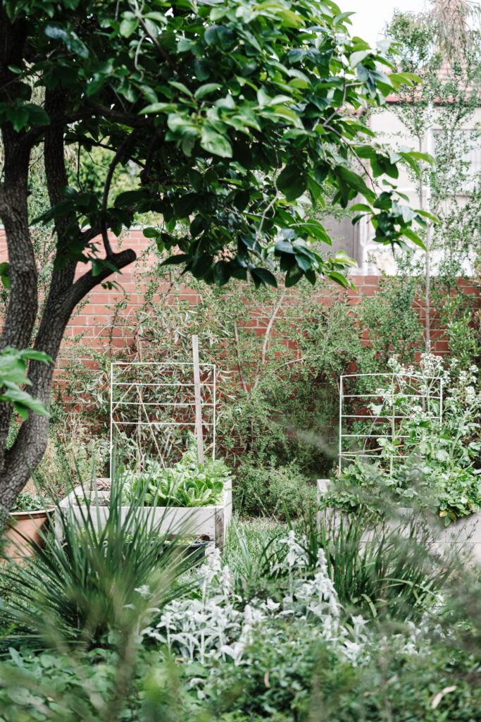 green magazine issue 80 - Embrace The Wild - Photo: Marnie Hawson