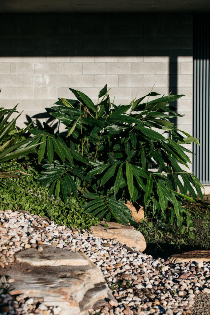 green magazine issue 82: Better and Better. Photos: Jessie Ann