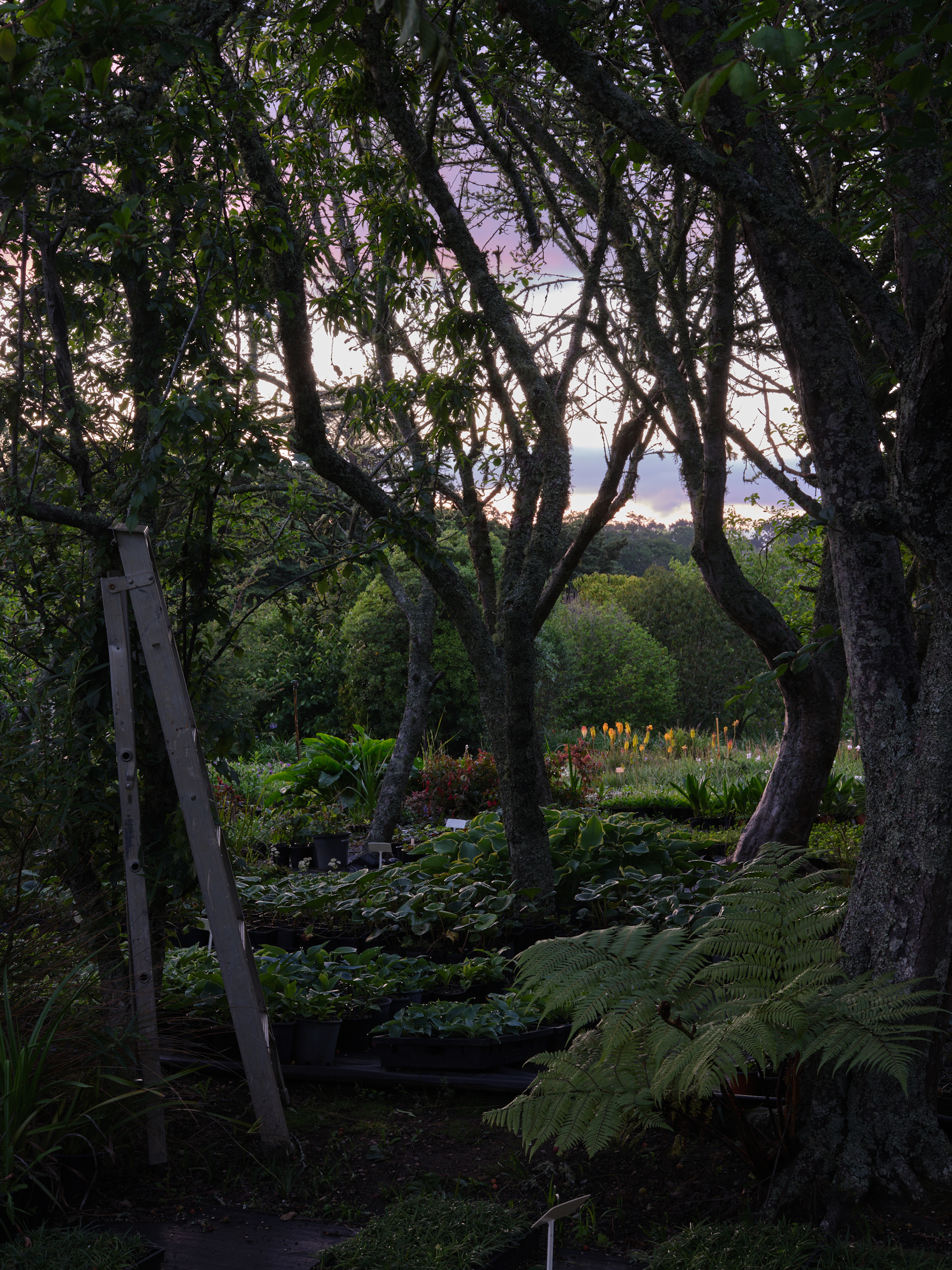 green magazine issue 82: Journey Maker. Photos: Samuel Hartnett