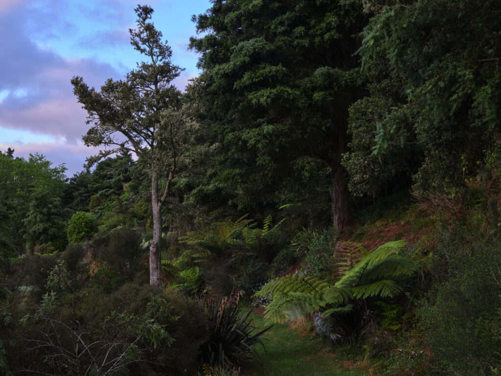 green magazine issue 82: Journey Maker. Photos: Samuel Hartnett