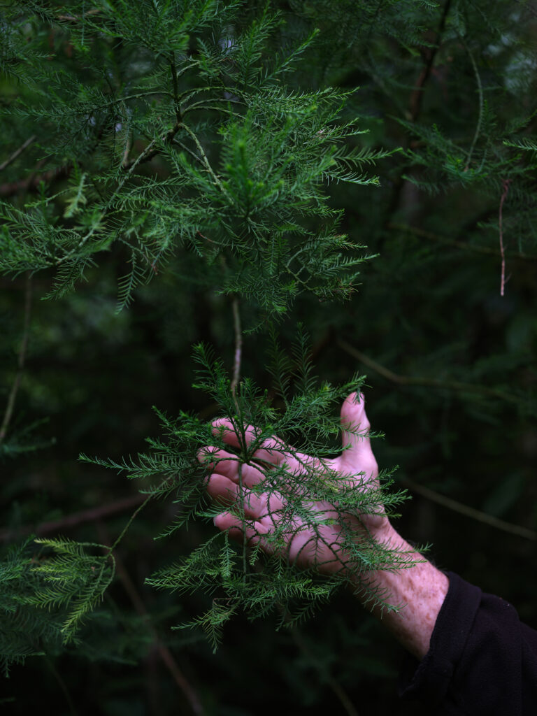 green magazine issue 82: Journey Maker. Photos: Samuel Hartnett