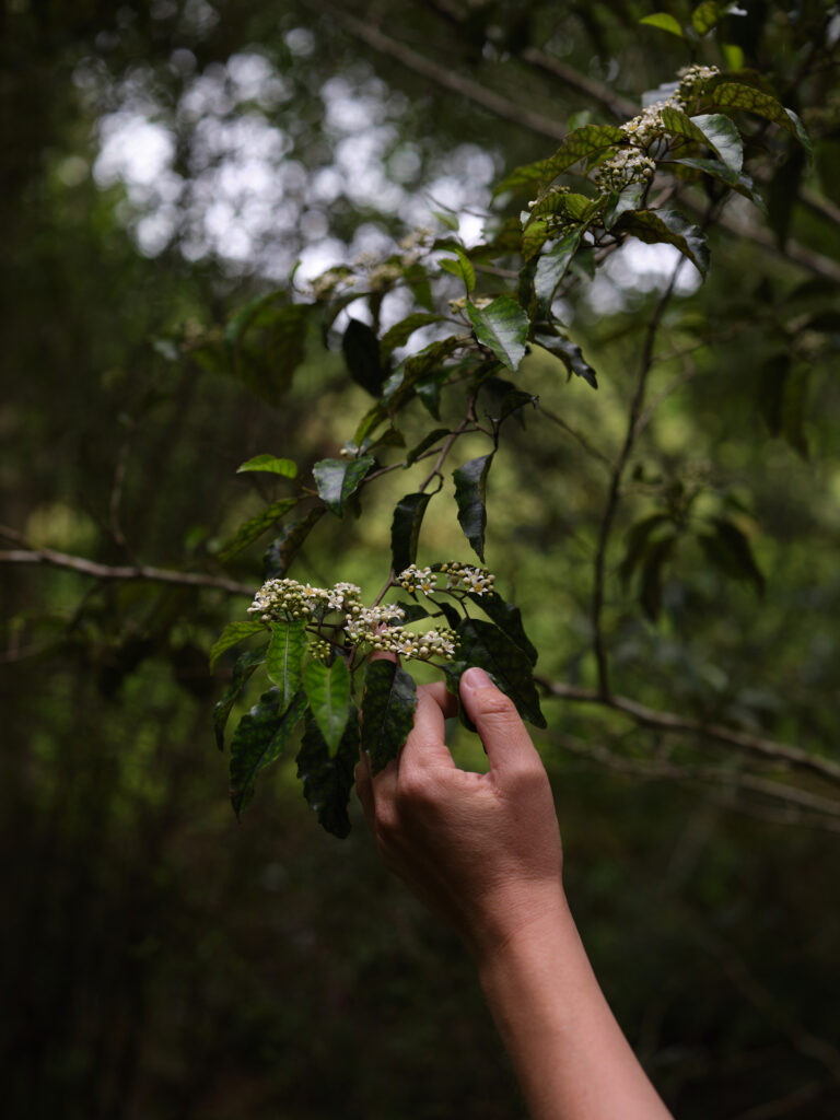 green magazine issue 82: Journey Maker. Photos: Samuel Hartnett