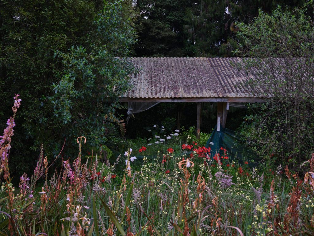 green magazine issue 82: Journey Maker. Photos: Samuel Hartnett