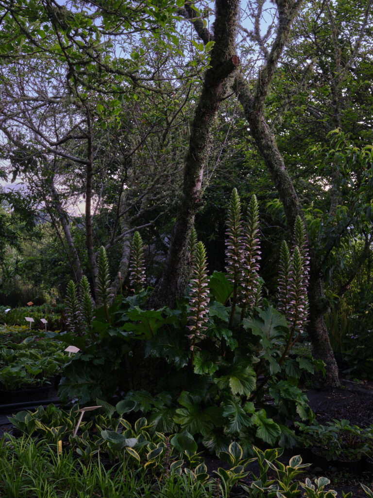 green magazine issue 82: Journey Maker. Photos: Samuel Hartnett