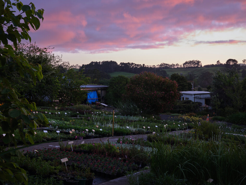 green magazine issue 82: Journey Maker. Photos: Samuel Hartnett