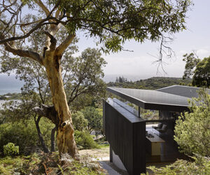 green magazine issue 80 - In Tune - Photo: Christopher Frederick Jones