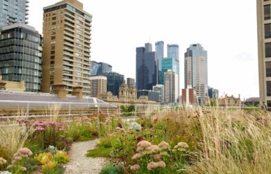 Credit City of Melbourne Green Our Rooftop