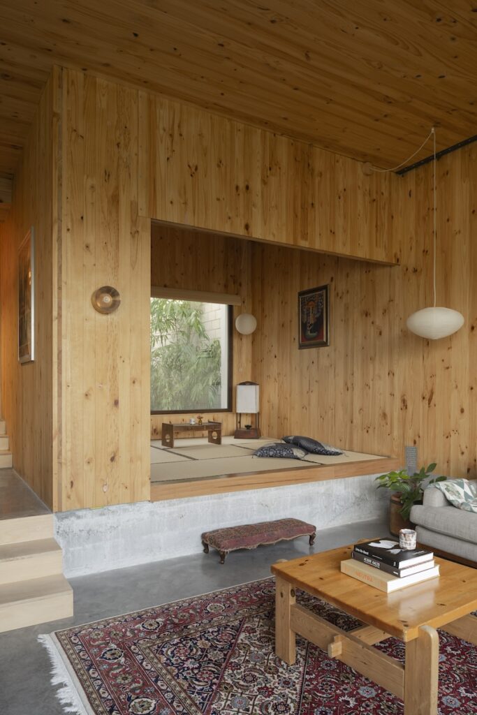 green magazine issue 102 - Skipless. (Photos by Dion Robeson).