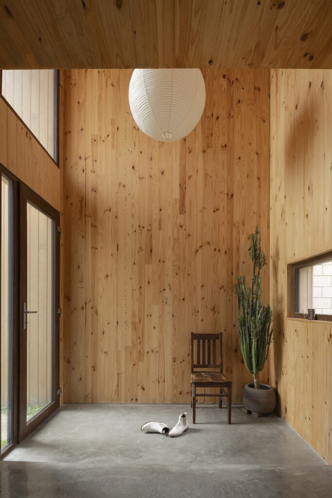 green magazine issue 102 - Skipless. (Photos by Dion Robeson).