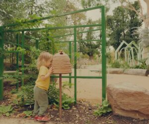 Central Park All-Abilities Playground - SBLA Studio with City of Stonnington (Photo - Pier Carthew)