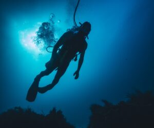 Scuba diver silhouetted underwater above a reef, releasing bubbles while surveying marine habitat.