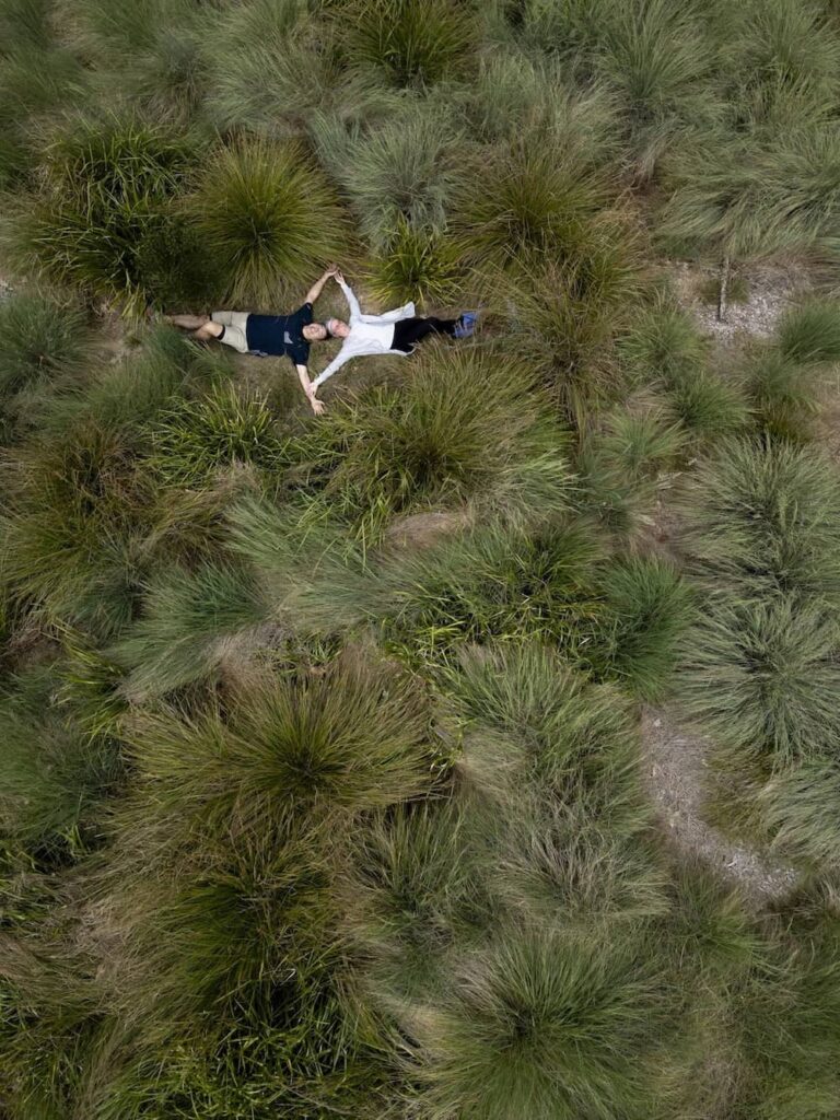 Native planting replaces weeds on the sloping site at Cascading Effect, photographed for issue 108 by Brett Boardman.