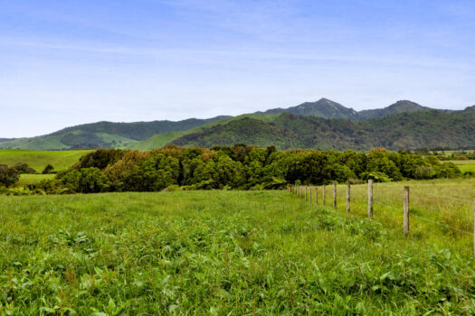 Realise your coastal dream!