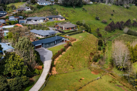 Modern & Carefree – Space for the Sheep