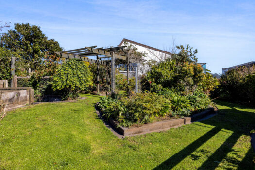 Spectacular Views on Oakura Fringe