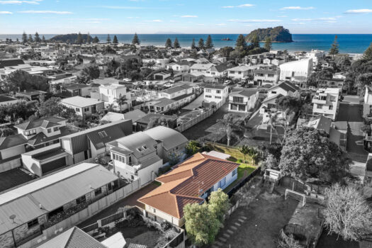 Downtown Mount Opportunity