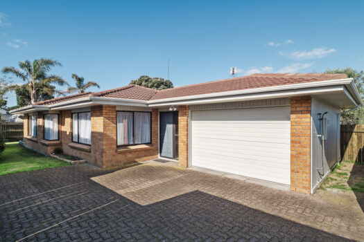 Downtown Mount Opportunity