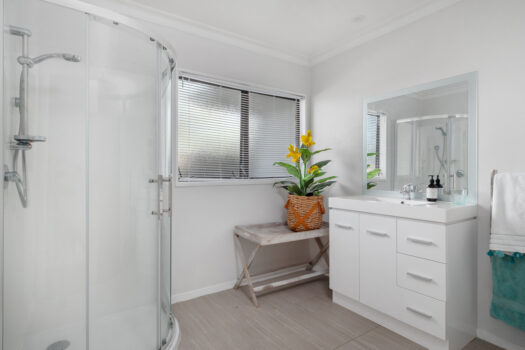 Downtown Mount Opportunity