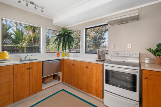 Downtown Mount Opportunity