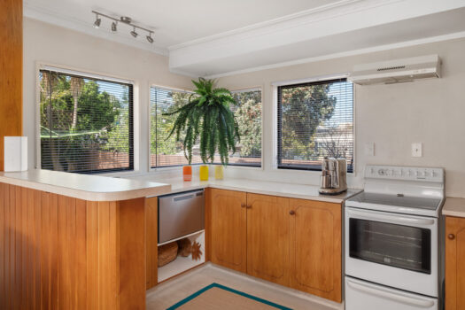 Downtown Mount Opportunity