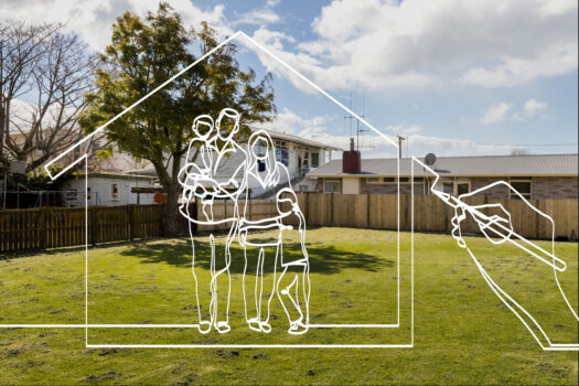 SECTION OR PADDOCK? MOO!