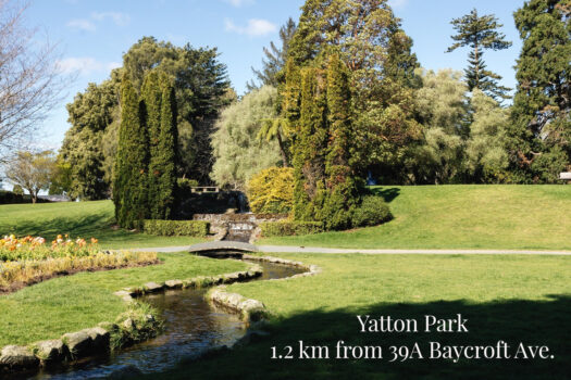 SECTION OR PADDOCK? MOO!