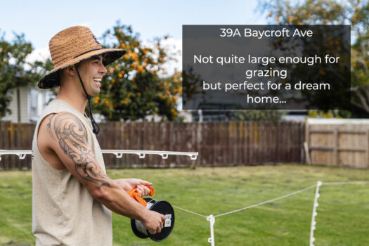 SECTION OR PADDOCK? MOO!