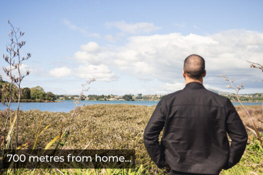 SECTION OR PADDOCK? MOO!