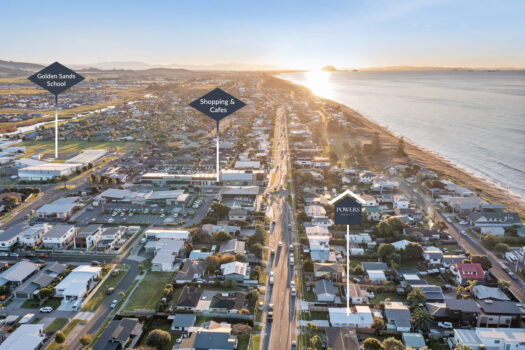 Motivated Vendors Relocating