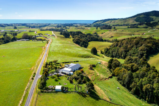 Spectacular Views – Family Home on Oakura Fringe