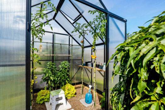 Easy care, modern living