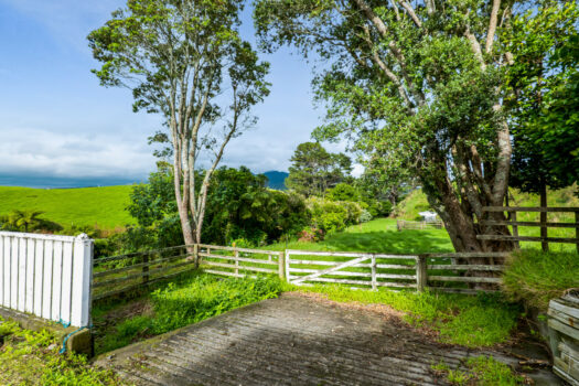 Lifestyle entry in popular Oakura