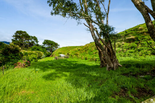 Lifestyle entry in popular Oakura