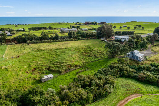 Lifestyle entry in popular Oakura