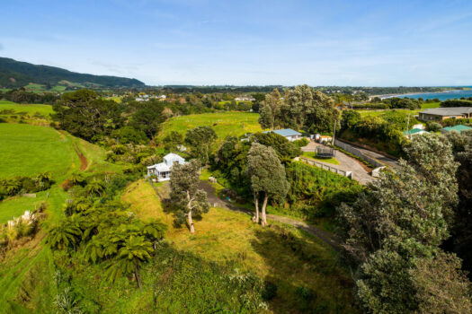 Lifestyle entry in popular Oakura