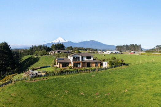 Price Reduced! Secure for Christmas!