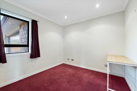 Price Reduced! Secure for Christmas!