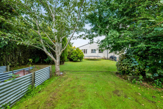 Renovate, Rent or Subdivide!