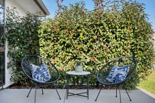 Everything You Need Served On Plate